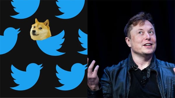 Twitter's logo changed, the blue bird was replaced by a dog
