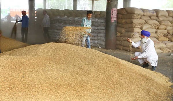 So far 75 lakh tonnes of wheat has been purchased in the country more than last year: Centre