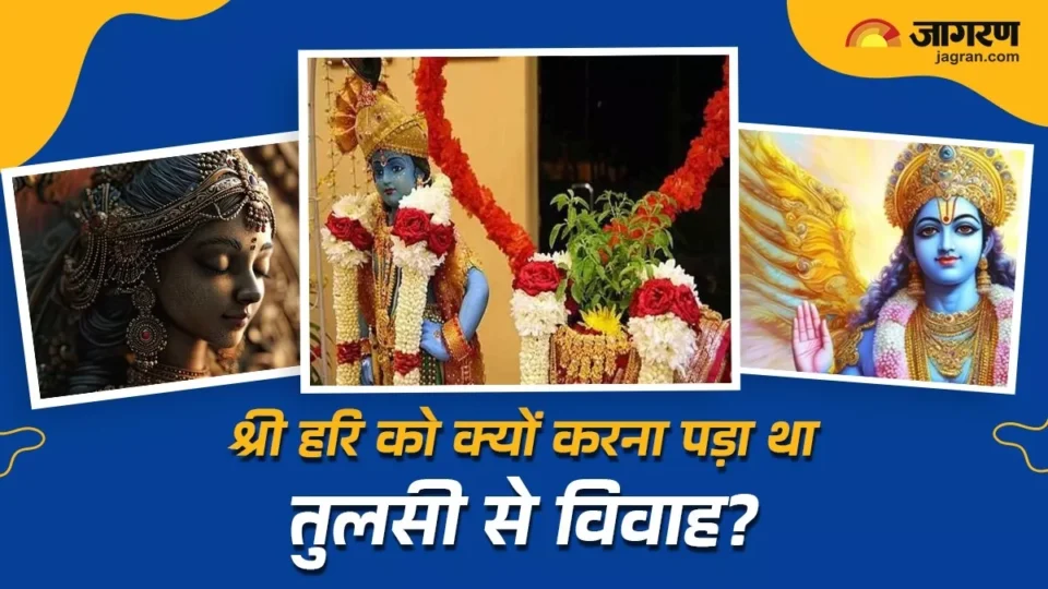 Tulsi Vivah 2024: ਭਗਵਾਨ ਵਿਸ਼ਨੂੰ ਨੇ ਕਿਉਂ ਕਰਵਾਇਆ ਤੁਲਸੀ ਨਾਲ ਵਿਆਹ ? ਜਾਣੋ ਇਸ ਨਾਲ ਜੁੜੇ ਮਿਥਿਹਾਸਕ ਤੱਥ