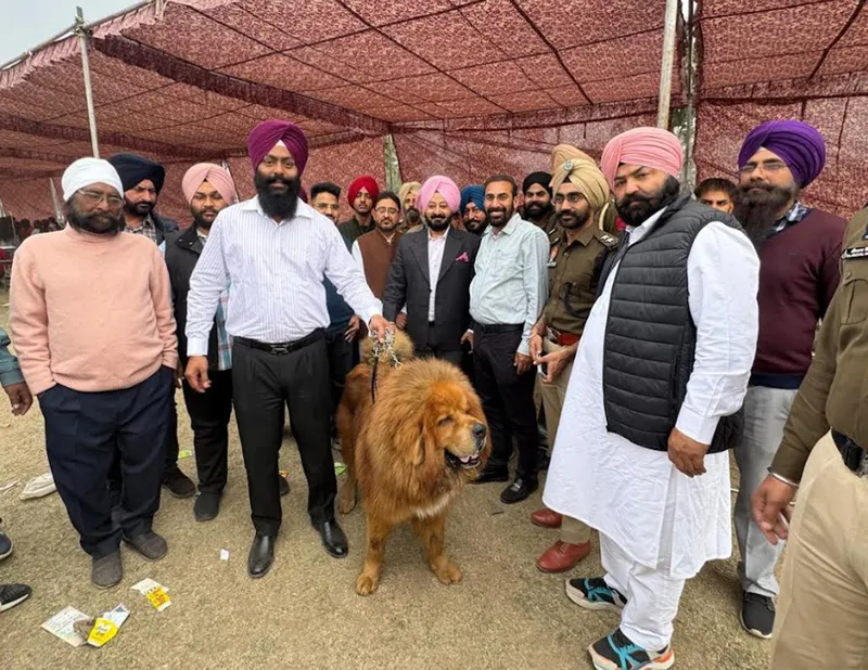 ਵਿਰਾਸਤੀ ਮੇਲੇ ਵਿੱਚ ਡੌਗ ਸ਼ੋਅ ਕਰਵਾਇਆ