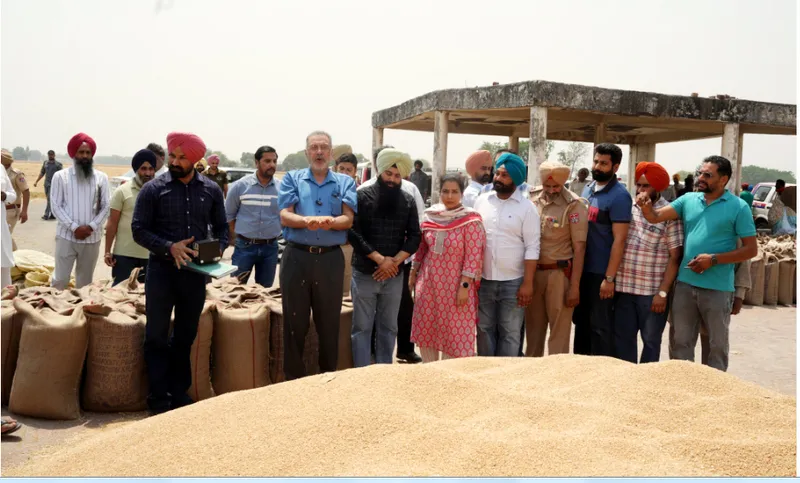 ਸਿਹਤ ਮੰਤਰੀ ਵੱਲੋਂ ਕਣਕ ਦੇ ਖਰੀਦ ਪ੍ਰਬੰਧਾਂ ਦਾ ਜਾਇਜ਼ਾ