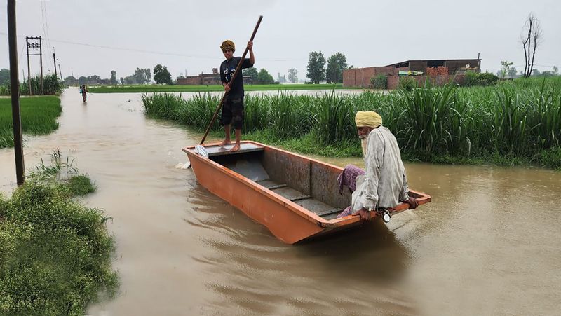 ਹੜ੍ਹਾਂ ਦੀ ਮਾਰ: ਪੰਜਾਬ ’ਚ ਇੱਕ ਲੱਖ ਏਕੜ ਫ਼ਸਲ ਡੁੱਬੀ