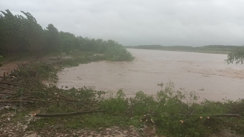 ਪੰਜਾਬ ਸਰਕਾਰ ਦਰਿਆ ਵਿੱਚ ਫਿਰ ਮਾਈਨਿੰਗ ਸ਼ੁਰੂ ਕਰਨ ਲਈ ਕਾਹਲੀ