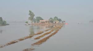 ਸੁਲਤਾਨਪੁਰ ਲੋਧੀ ਦੇ ਮੰਡ ਇਲਾਕੇ ’ਚ ਹੜ੍ਹ ਦਾ ਪਾਣੀ ਘਟਿਆ