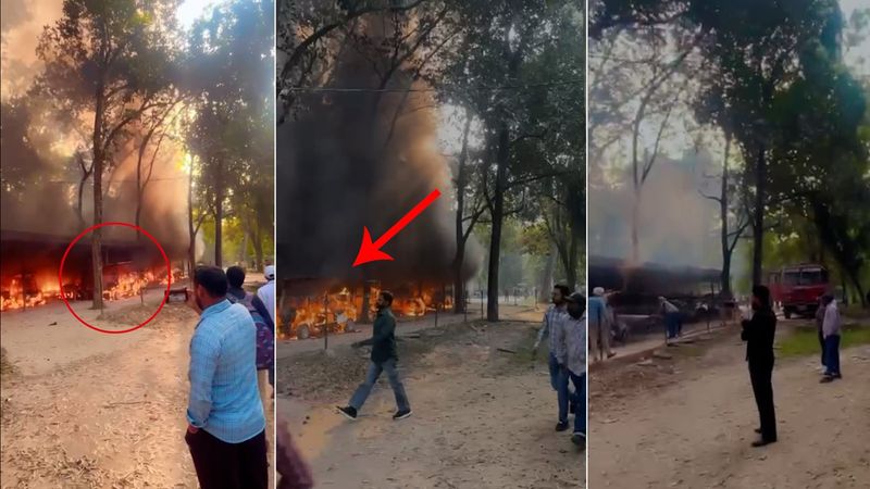 ਛੱਤਬੀੜ ਚਿੜੀਆਘਰ ਦੇ ਬਾਹਰ ਚਾਰਜਿੰਗ ਸਟੇਸ਼ਨ ਨੂੰ ਅੱਗ ਲੱਗੀ, ਡੇਢ ਦਰਜਨ ਈ-ਰਿਕਸ਼ਾ ਸੜ ਕੇ ਸੁਆਹ