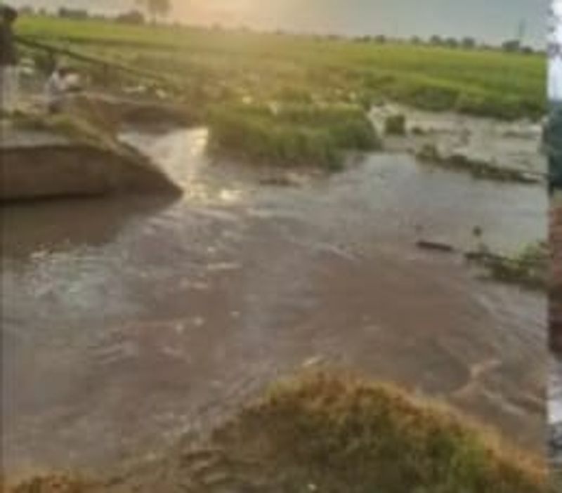 ਸ਼ੇਰਾਂਵਾਲੀ ਭਾਖੜਾ ਨਹਿਰ ਵਿੱਚ ਦੋ ਥਾਵਾਂ ’ਤੇ ਪਾੜ ਪਿਆ, 100 ਏਕੜ ਵਿੱਚ ਖੜੀ ਫ਼ਸਲ ਦਾ ਨੁਕਸਾਨ