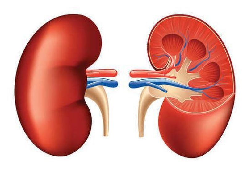 ‘ਕਰਜ਼ੇ ਬਦਲੇ ਕਿਡਨੀ’: ਕਰਜ਼ਾ ਚੁਕਾਉਣ ਲਈ ਕਿਡਨੀ ਵੇਚਣ ਲਈ ਮਜਬੂਰ ਹੋਇਆ ਕਿਸਾਨ