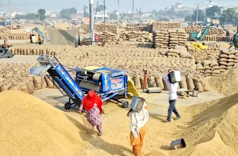 ਚੌਲਾਂ ਦੇ ਵਪਾਰ ’ਚ ਭਾਰਤ ਦਾ ਦਬਦਬਾ ਅਤੇ ਜ਼ਮੀਨੀ ਪਾਣੀ ਦਾ ਸੰਕਟ