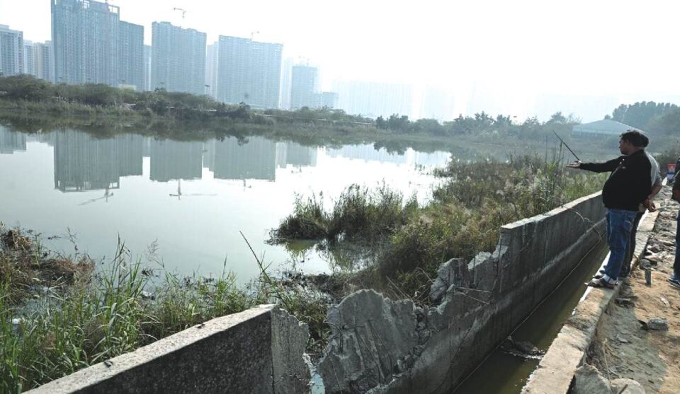 ਨੋਇਡਾ ਮਾਮਲੇ ਵਿੱਚ ਹਾਈ ਕੋਰਟ ਨੇ ਬਿਲਡਰ ਨੂੰ ਤੁਰੰਤ ਰਿਹਾਅ ਕਰਨ ਦੇ ਹੁਕਮ ਦਿੱਤੇ