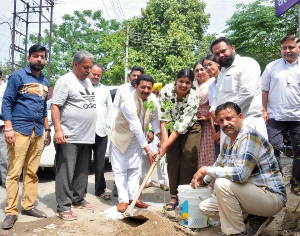 ਧੁੱਪ ਵਿੱਚ ਛਾਂ ਕਰਦੇ ਰੁੱਖ ਅਤੇ ਬੇਟੀਆਂ : ਮਹਿਤਾ, ਗੌਤਮ