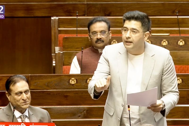 ਰਾਘਵ ਚੱਢਾ ਨੇ ਪਿਤਾ ਬਣਨ 'ਤੇ ਛੁੱਟੀ(paternity leave) ਨੂੰ ਕਾਨੂੰਨੀ ਅਧਿਕਾਰ ਬਣਾਉਣ ਦੀ ਕੀਤੀ ਮੰਗ