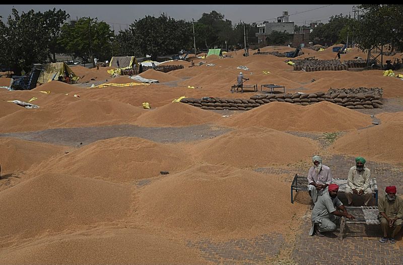 ਕਣਕ ਦੀ ਖ਼ਰੀਦ ਨੇ ਜ਼ੋਰ ਫੜਿਆ, ਚੁਕਾਈ ਸੁਸਤ