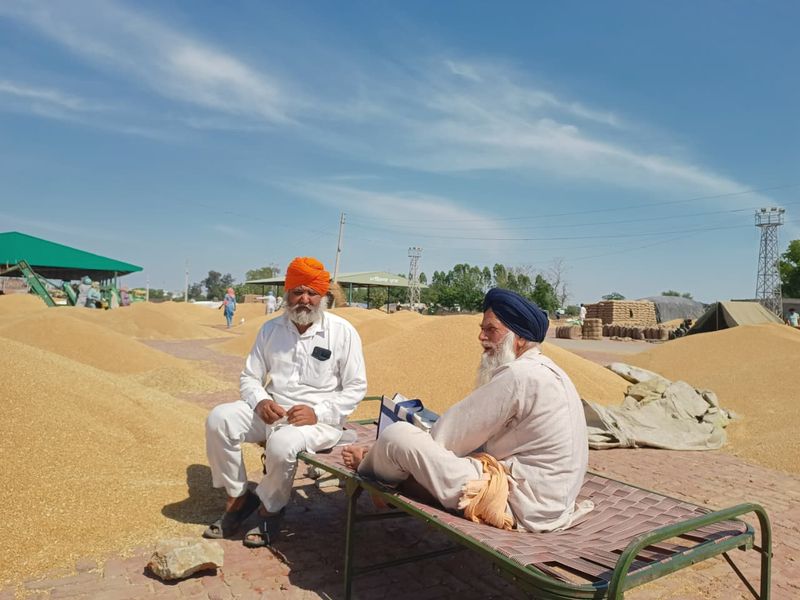 ਮਾਪਦੰਡਾਂ ਕਾਰਨ ਕਣਕ ਦੀ ਖ਼ਰੀਦ ਪ੍ਰਭਾਵਿਤ