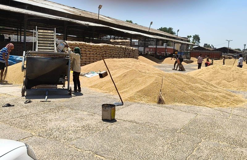 ਪੰਜਾਬ ਦੇ ਕਿਸਾਨਾਂ ਨੂੰ ਵੱਡੀ ਰਾਹਤ; ਕੇਂਦਰ ਵੱਲੋਂ ਕਣਕ ਦੇ ਖ਼ਰੀਦ ਮਾਪਦੰਡਾਂ ਵਿੱਚ ਢਿੱਲ