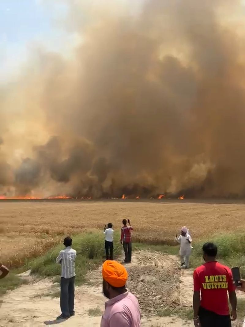 ਮੁਕਤਸਰ ਅਤੇ ਫਾਜ਼ਿਲਕਾ ਦੇ ਪਿੰਡਾਂ ਵਿੱਚ ਲਗਪਗ 250 ਏਕੜ 'ਚ ਖੜ੍ਹੀ ਕਣਕ ਦੀ ਫ਼ਸਲ ਅੱਗ ਨਾਲ ਸੜ ਕੇ ਸੁਆਹ