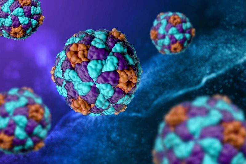 ਮੈਨੀਟੋਬਾ ਵਿੱਚ Hepatitis A ਦੇ ਕੇਸ ਵਧੇ; ਹਸਪਤਾਲ ਦਾਖਲਿਆਂ ਅਤੇ ਮੌਤਾਂ ਦੀ ਪੁਸ਼ਟੀ
