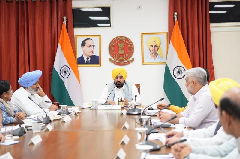 ਪੰਜਾਬ 'ਚ ਬਿਨਾਂ ਮਨਜ਼ੂਰੀ ਰੁੱਖ ਕੱਟਣ 'ਤੇ ਲੱਗੇਗਾ 50 ਹਜ਼ਾਰ ਜੁਰਮਾਨਾ; 1 ਦੇ ਬਦਲੇ ਲਾਉਣੇ ਹੋਣਗੇ 10 ਬੂਟੇ, ਨਵੇਂ ਬਿੱਲ ਨੂੰ ਕੈਬਨਿਟ ਦੀ ਮਨਜ਼ੂਰੀ