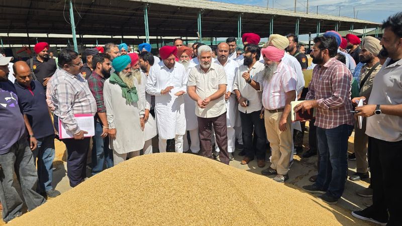 ਮਾਲਵੇ ਵਿੱਚ ਮੀਂਹ ਕਾਰਨ ਝੋਨੇ ਨੂੰ ਪਹੁੰਚਿਆ ਨੁਕਸਾਨ, ਸਰਕਾਰ ਵੱਲੋਂ ਕਿਸਾਨਾਂ ਨੂੰ ਹਰ ਸੰਭਵ ਮਦਦ ਦਾ ਐਲਾਨ